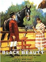 Black Beauty在线观看