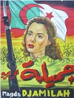 阿尔及利亚姑娘