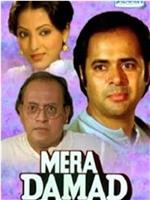 Mera Damad