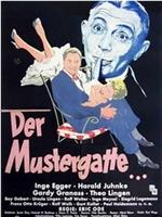 Der Mustergatte在线观看