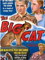 The Big Cat在线观看