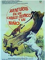 Aventuras de un caballo blanco y un niño在线观看