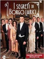 I Segreti di Borgo Larici Season 1在线观看