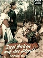 Drei Birken auf der Heide