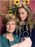 Blind Spot在线观看