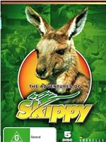 The Adventures of Skippy在线观看