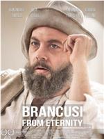 Brancusi Din Eternitate在线观看