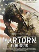 Wartorn: 1861-2010