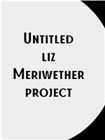Untitled Liz Meriwether Project