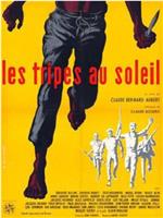 Les tripes au soleil