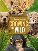 Growing Up Wild在线观看