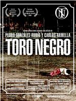 Toro negro