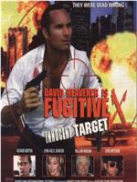 Fugitive X: Innocent Target