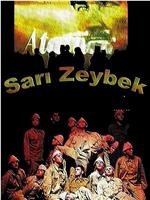Sari Zeybek在线观看