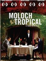 moloch tropical