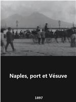 那不勒斯，港口与维苏威火山在线观看