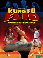 Kung Fu Flid