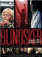 Blindsker: Saga Bubba Morthens在线观看