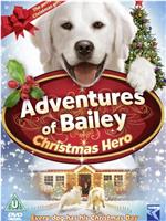 Adventures of Bailey: Christmas Hero在线观看