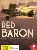 Fighting the Red Baron