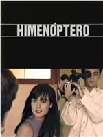 Himenóptero在线观看