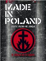 波兰制造