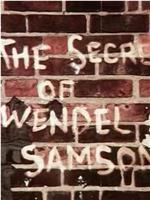 The Secret of Wendel Samson在线观看