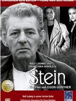 Stein