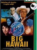 Big Hawaii在线观看