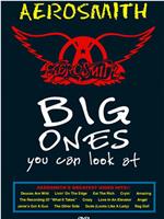 Aerosmith: Big Ones You Can Look at在线观看