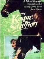 The Rogue Stallion