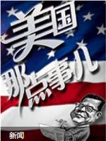 美国那点事儿在线观看