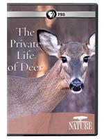 The Private Life of Deer Season 31