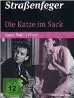 Die Katze im Sack