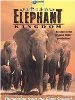 非洲大象王国在线观看