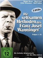 Die seltsamen Methoden des Franz Josef Wanninger