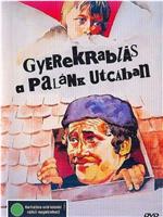 Gyerekrablás a Palánk utcában