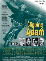 Clipping Adam