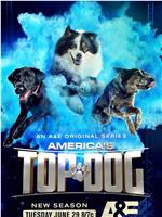 America's Top Dog