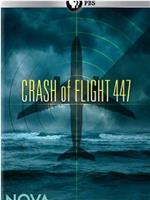 PBS NOVA: Crash of Flight 447