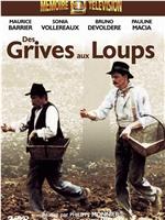 Des grives aux loups在线观看