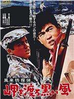风来坊侦探 横渡海岬的黑风