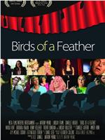 Birds of a Feather在线观看