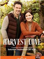 Harvest Love在线观看