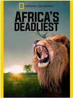 非洲致命动物