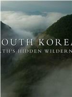 韩国：地球的隐秘荒野在线观看