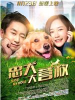 忠犬大营救在线观看