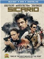 Sicario: Blunt, Brolin & Benicio - Portraying the Characters of Sicario在线观看