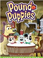 Pound Puppies