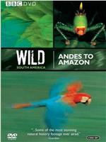 Andes to Amazon